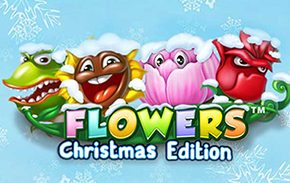 Flowers Christmas Edition which we review at Indian Casino Club
