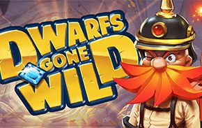 Dwarfs gone wild which we review at Indian Casino Club