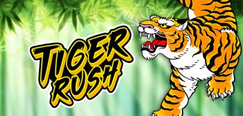 Tiger Rush which we review at Indian Casino Club