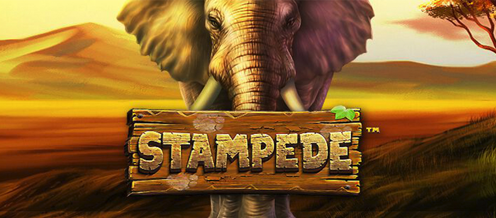 Cash Stampede which we review at Indian Casino Club